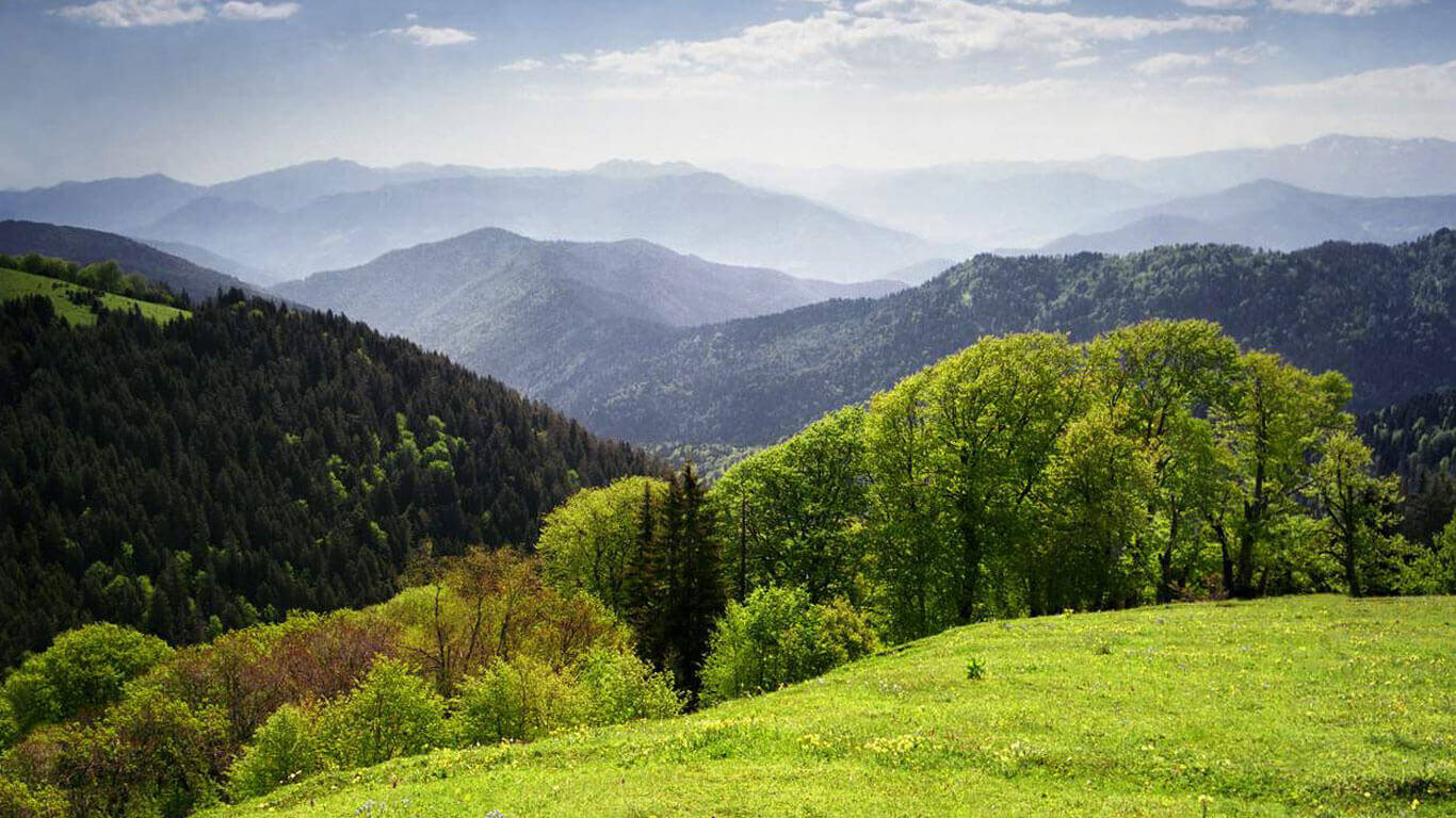 Осень в Боржоми