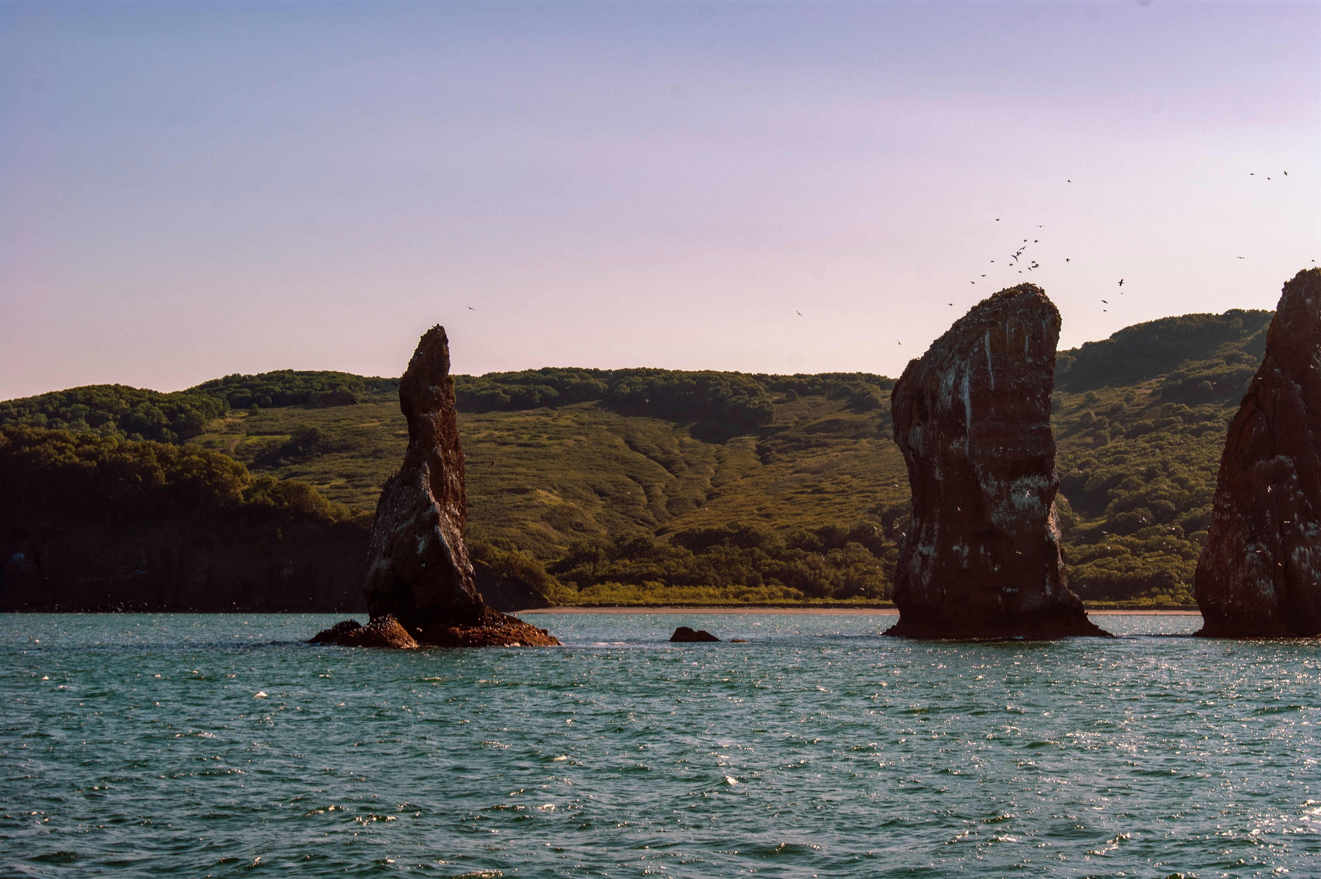 gala iv xn4LSfHS5 Y unsplash